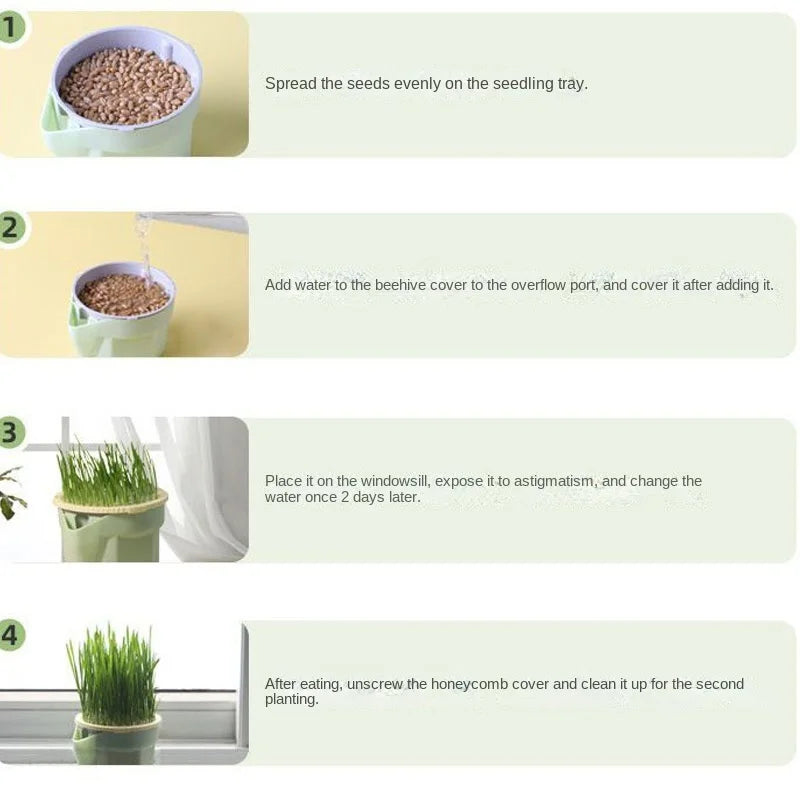 Cat Snack Mint Planting Hydroponic Plastic Box Cat Pot Contrast Hydroponic Det Cat Grass Plant Bowl without seed Garden Supply